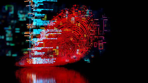 Bug Bounty et recherche de vulnérabilités